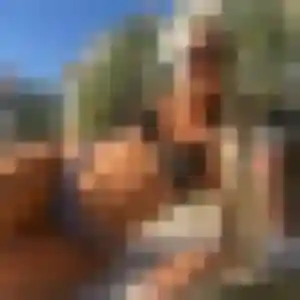 Iseult, 39 ans, connectée à Yssingeaux pour une rencontre coquine